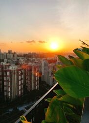 Alex Residences (D3), Apartment #580206991